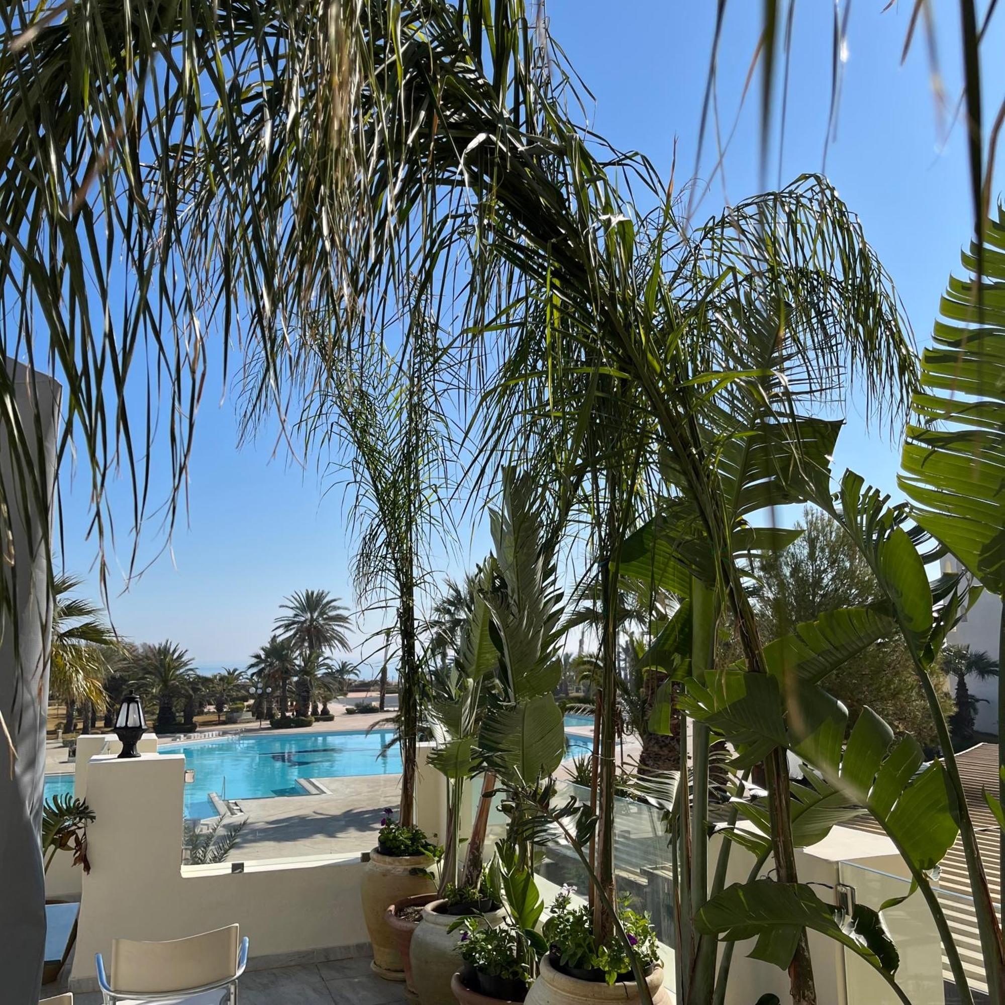 Sentido Marillia Resort & Spa Yasmine Hammamet Екстер'єр фото